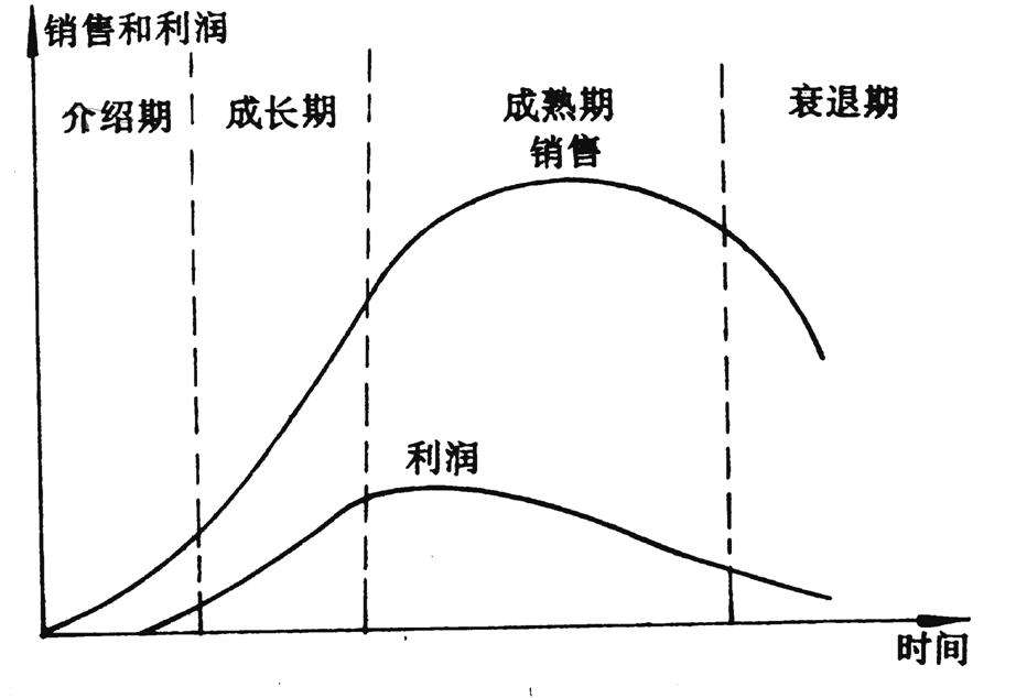 简述产品生命周期的含义以及成长期和成熟期的特点？