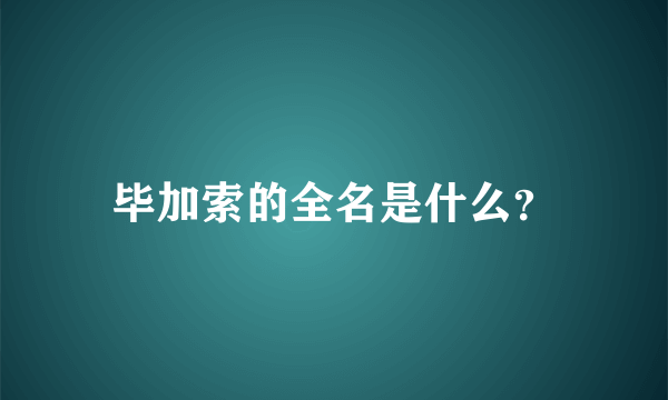 毕加索的全名是什么？