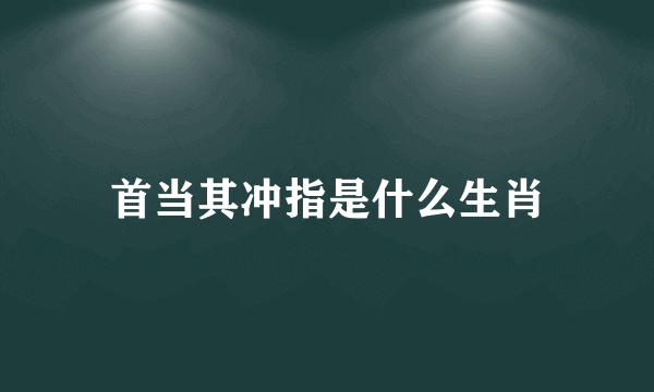 首当其冲指是什么生肖