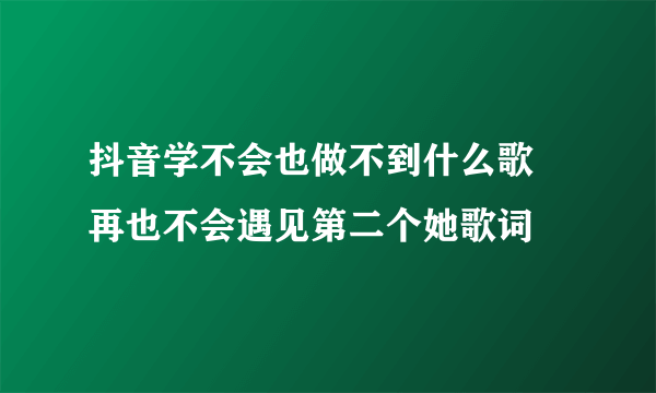 抖音学不会也做不到什么歌 再也不会遇见第二个她歌词