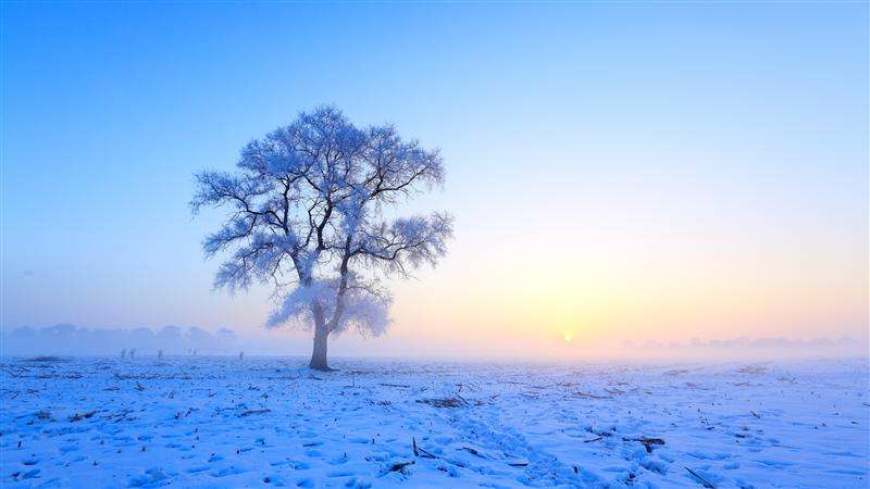 忽然下的一场雪飘的那么纯洁是什么歌，什么歌曲的歌词