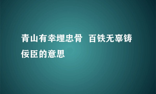 青山有幸埋忠骨  百铁无辜铸佞臣的意思