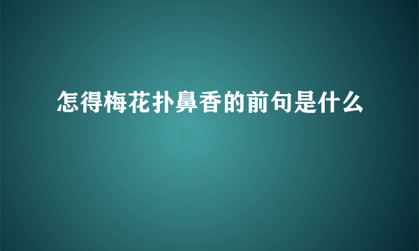 怎得梅花扑鼻香的前句是什么