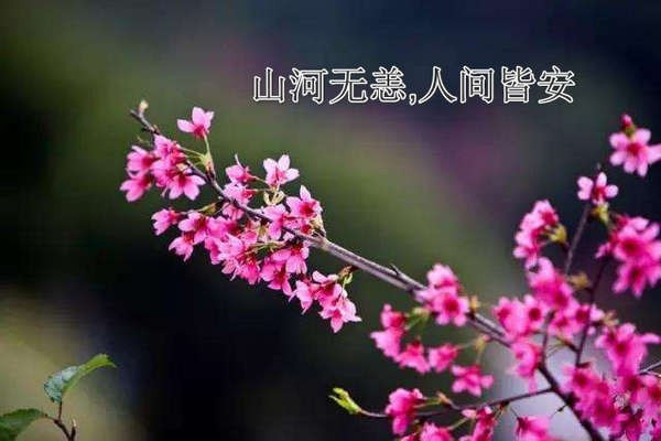 山河无恙,人间皆安是什么意思？