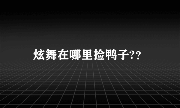 炫舞在哪里捡鸭子?？