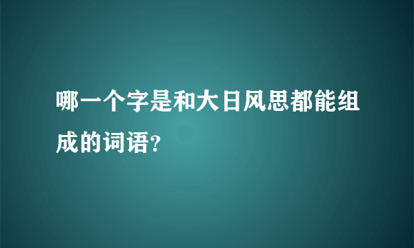 哪一个字是和大日风思都能组成的词语？