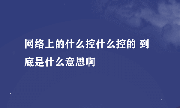 网络上的什么控什么控的 到底是什么意思啊