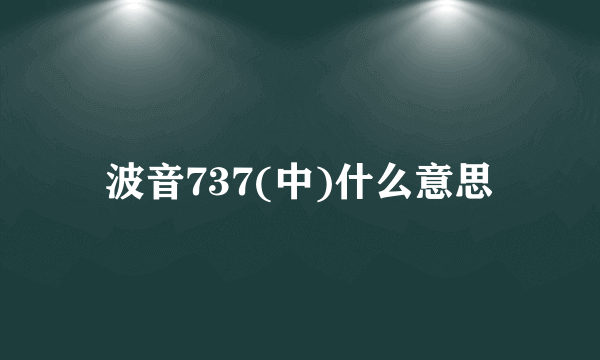 波音737(中)什么意思