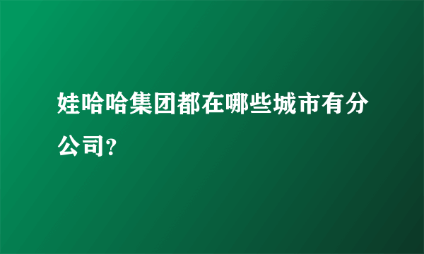 娃哈哈集团都在哪些城市有分公司？