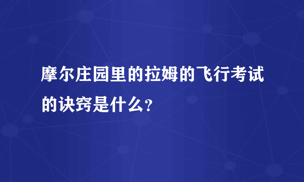 摩尔庄园里的拉姆的飞行考试的诀窍是什么？