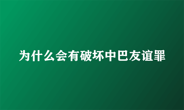 为什么会有破坏中巴友谊罪