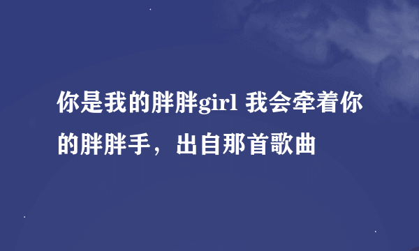 你是我的胖胖girl 我会牵着你的胖胖手，出自那首歌曲