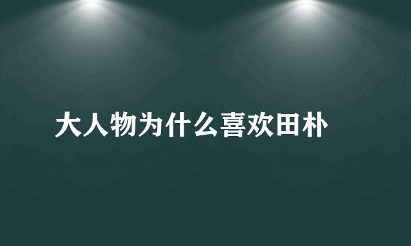 大人物为什么喜欢田朴珺