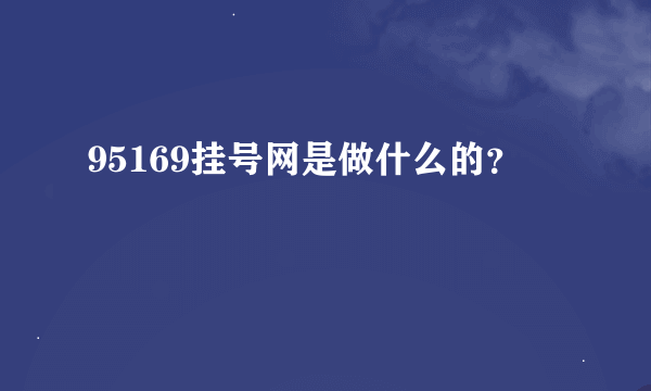 95169挂号网是做什么的？