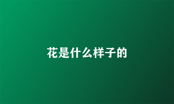 花是什么样子的