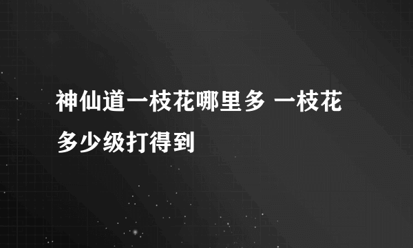 神仙道一枝花哪里多 一枝花多少级打得到