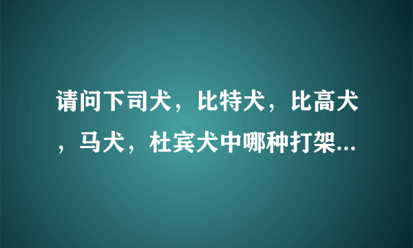 请问下司犬，比特犬，比高犬，马犬，杜宾犬中哪种打架最厉害，最凶，对主人最服从。