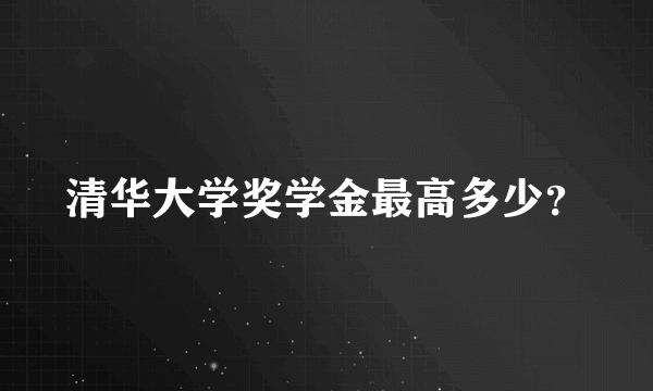 清华大学奖学金最高多少？