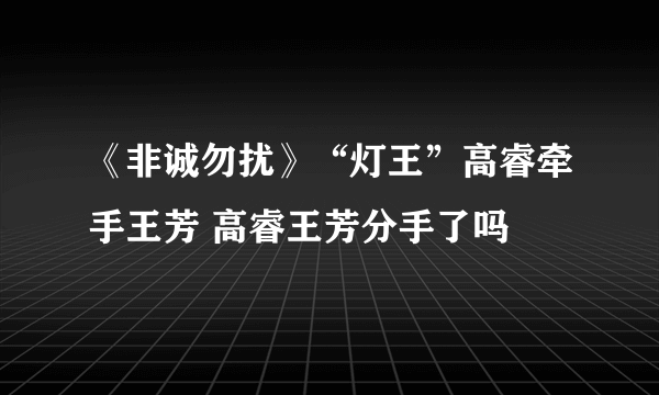 《非诚勿扰》“灯王”高睿牵手王芳 高睿王芳分手了吗