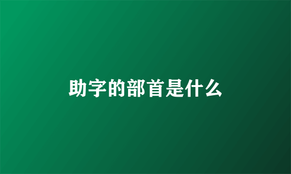 助字的部首是什么