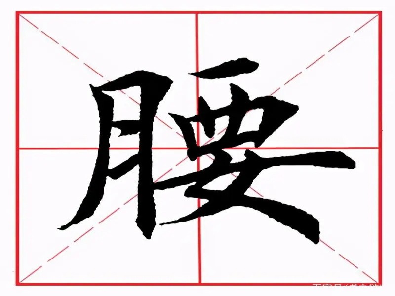 月字旁的字和什么有关?