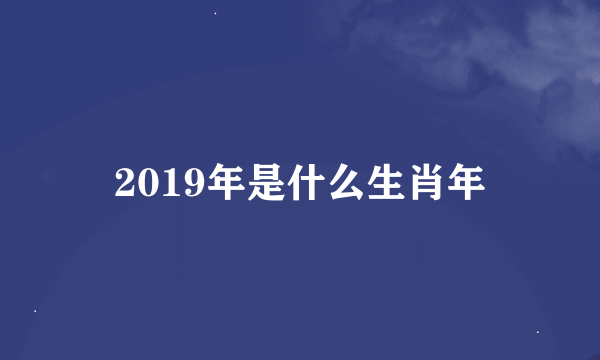 2019年是什么生肖年