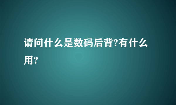 请问什么是数码后背?有什么用?