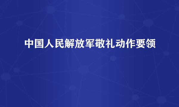 中国人民解放军敬礼动作要领