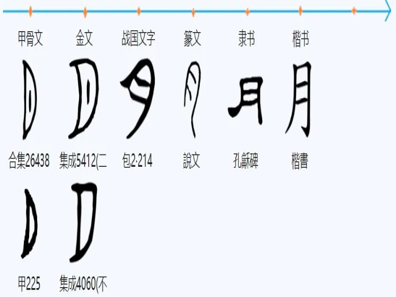 月字旁的字和什么有关?