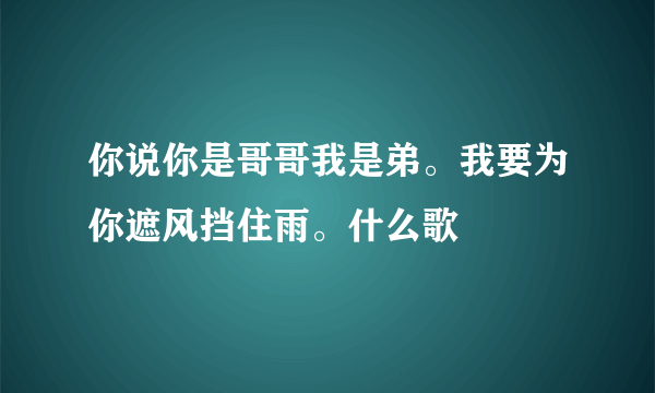 你说你是哥哥我是弟。我要为你遮风挡住雨。什么歌