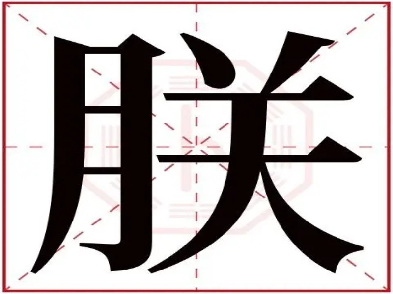 月字旁的字和什么有关?