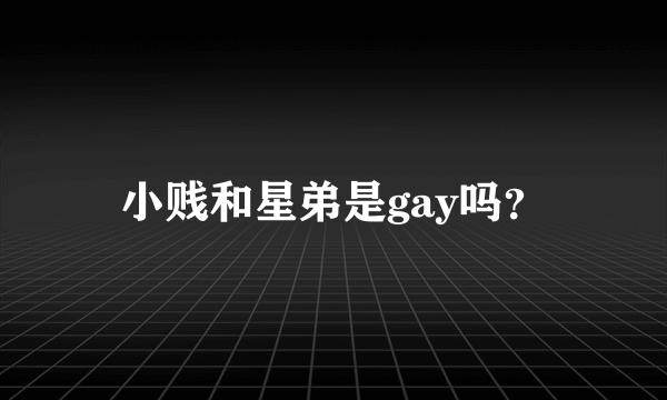 小贱和星弟是gay吗？