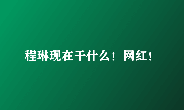 程琳现在干什么！网红！