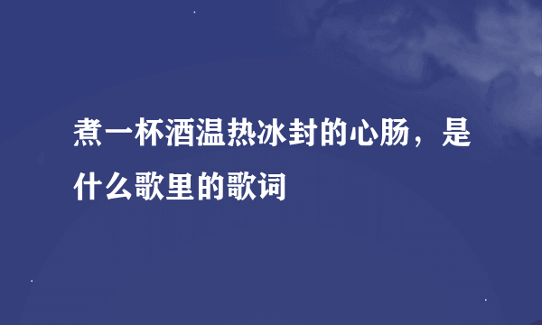 煮一杯酒温热冰封的心肠，是什么歌里的歌词