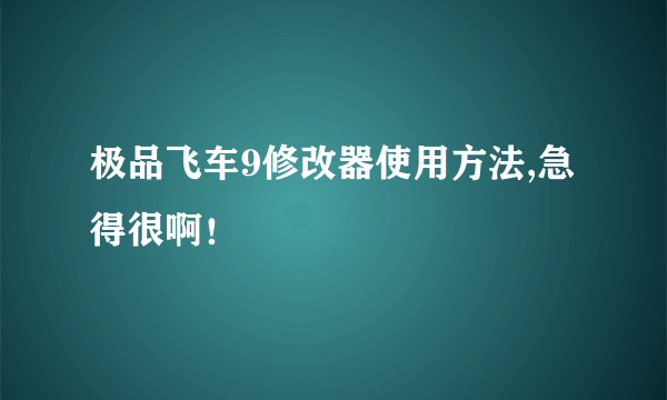 极品飞车9修改器使用方法,急得很啊！