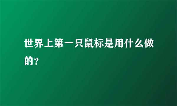 世界上第一只鼠标是用什么做的？