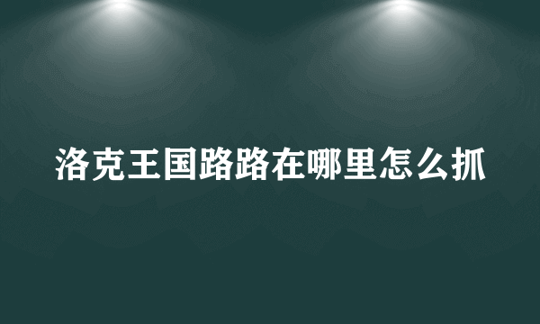 洛克王国路路在哪里怎么抓