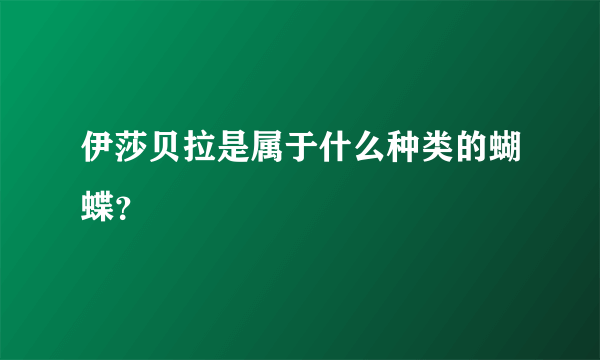 伊莎贝拉是属于什么种类的蝴蝶？