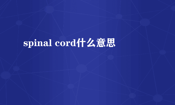 spinal cord什么意思