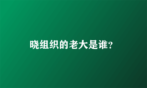 晓组织的老大是谁？