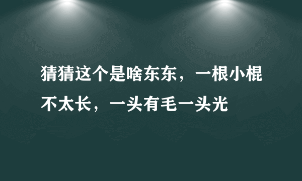 猜猜这个是啥东东，一根小棍不太长，一头有毛一头光