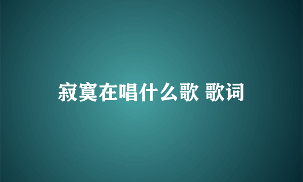 寂寞在唱什么歌 歌词