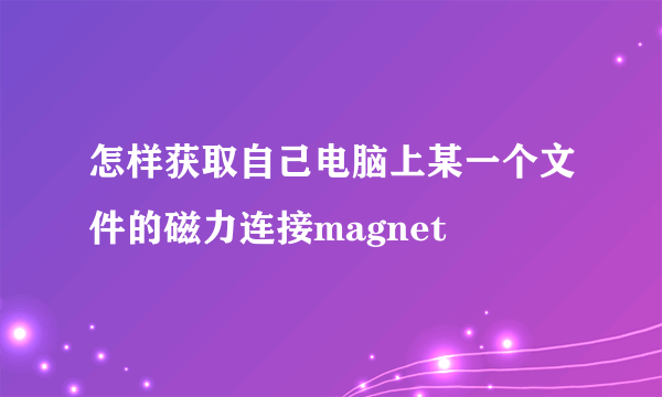 怎样获取自己电脑上某一个文件的磁力连接magnet