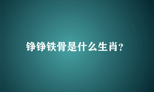 铮铮铁骨是什么生肖？