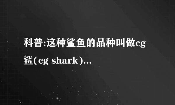 科普:这种鲨鱼的品种叫做cg鲨(cg shark)跟著名的hungryshark是近亲.体型小,