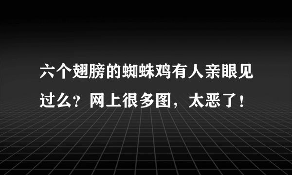 六个翅膀的蜘蛛鸡有人亲眼见过么？网上很多图，太恶了！