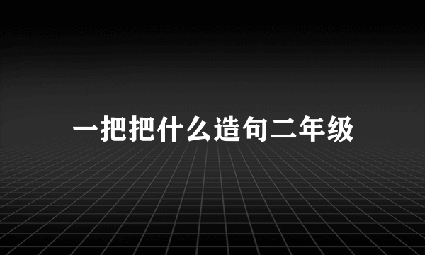 一把把什么造句二年级