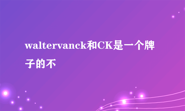 waltervanck和CK是一个牌子的不