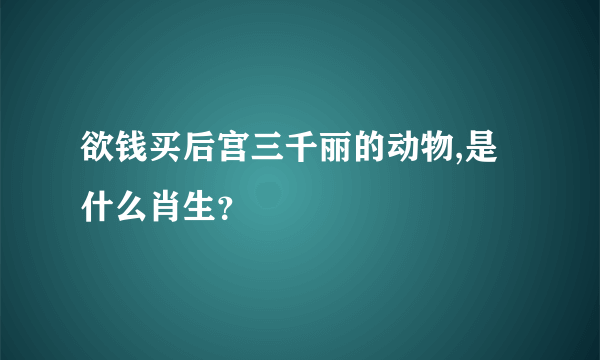 欲钱买后宫三千丽的动物,是什么肖生？