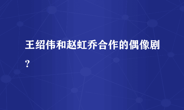 王绍伟和赵虹乔合作的偶像剧？